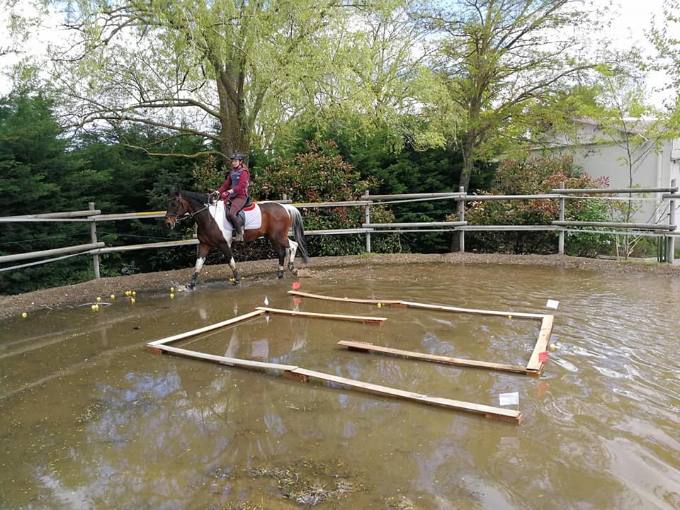 Resultados Concurso Nacional de Trec*** y Campeonato Navarro 2018